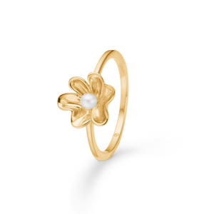 Gold Rings