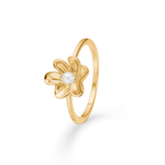 Gold Rings