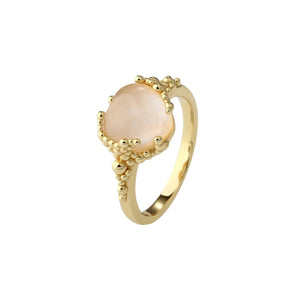 Aqua Dulce-ringen