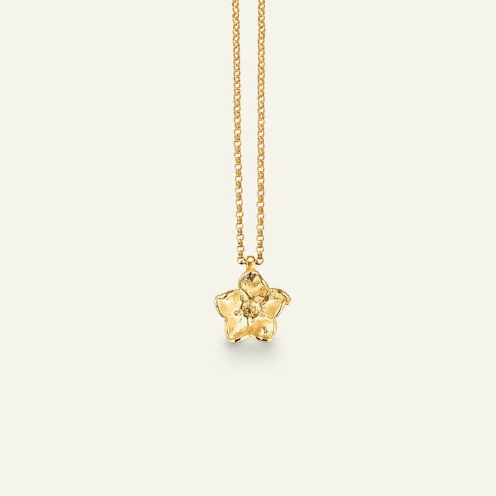 Flora Danica Vergeet-mij-nietje vergulde ketting – 907.FMN-NE-Pendant-G