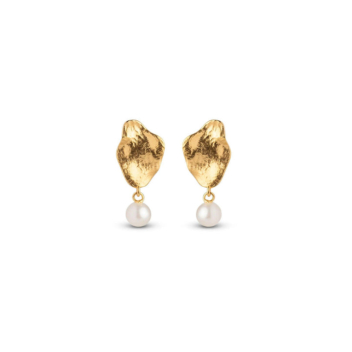 Enamel Caia Small Earrings, toont gouden oorbellen met onregelmatige vorm en parelhanger. Model e374gm-e374gm-2
