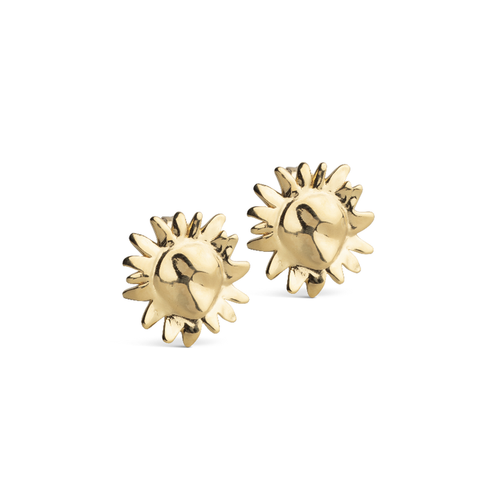 enamel grote zonneknop, een paar vergulde studs met een zonvormig ontwerp op een witte achtergrond. Modele421g-1