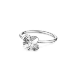 Zilveren ringen