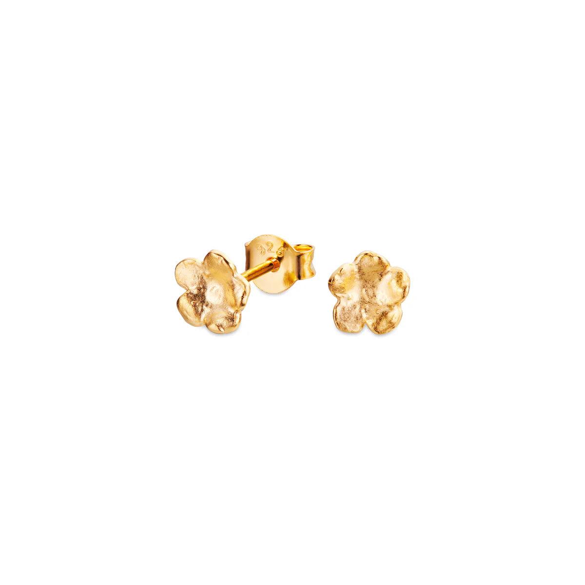 Flora Danica Vergeet-mij-nietje kleine studs 18kt goud toont fijne bloemvormige studs met een glanzende gouden afwerking. Model fmn-stpc-18k-g-1