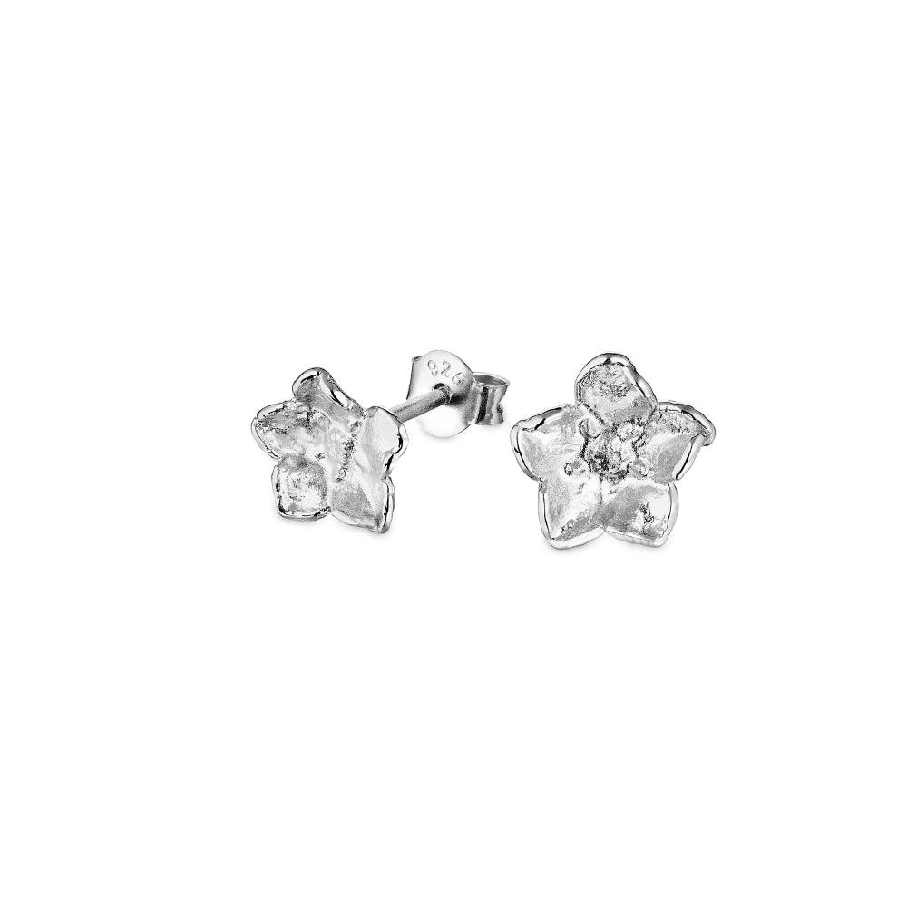 Flora Danica Middelgrote vergeet-mij-niet-oorbellen van zilver met gedetailleerde bloemvormige oorbellen. Model 907-FMN-STPC-MEDIUM-S