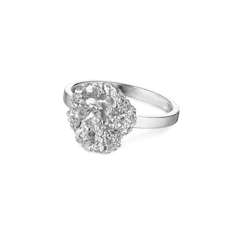 Flora Danica Peterselie Ring Zilver toont een gedetailleerde zilveren ring met een organisch peterseliemotief, Model 907-par-ri-s-001-1.