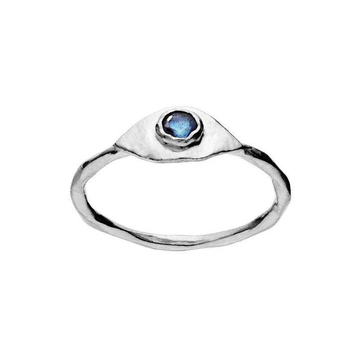 Maanesten Argos Ring in zilver met blauwe stenen, elegant en organisch ontwerp. Model4809c-4809c-002