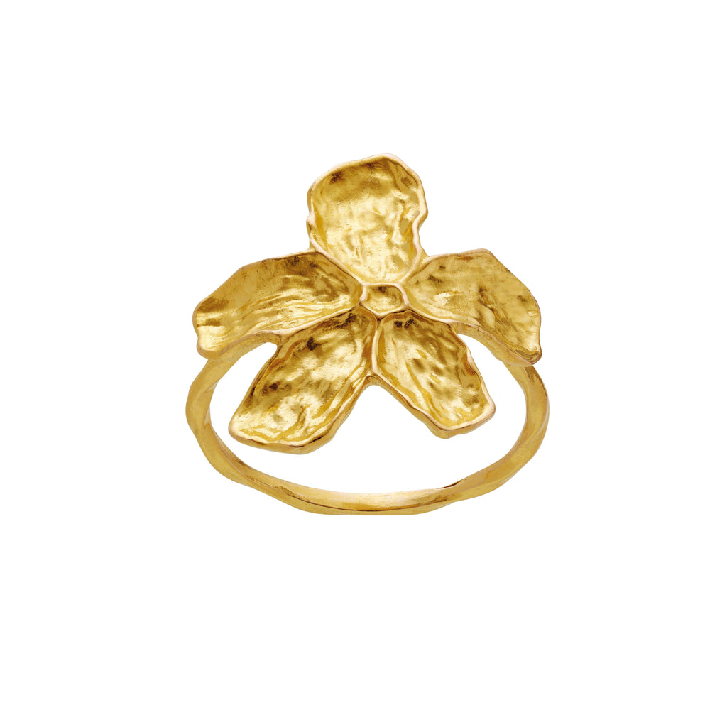 Maanesten Fraisa Ring - Forgyldt - Ringe - 4824A-001