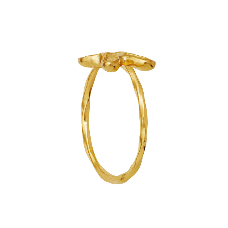 Maanesten Pepe Ring - Forgyldt - Ringe - 4823A-001