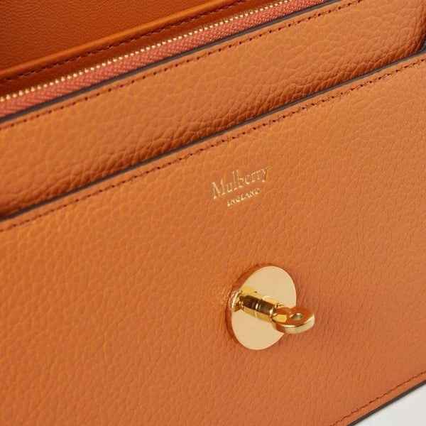 Mulberry Small Darley Sunset Small Classic Grain - Darley - RL7791/205N691