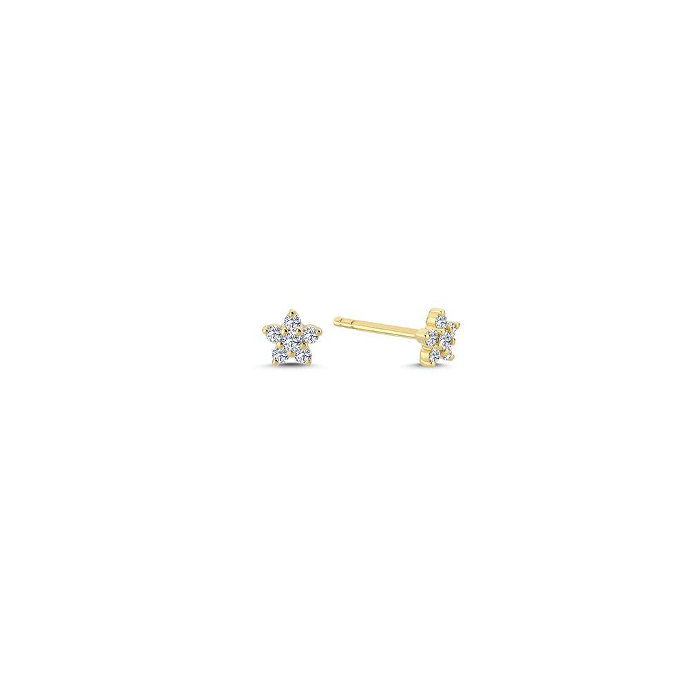 Nuran Stella kleine diamanten ster studs 14kt goud toont twee stervormige studs met fonkelende diamanten. Modelo2440-022rg-1