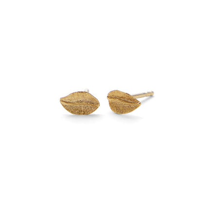 Pernille Corydon Elm Leaf oorbellen in verguld zilver, bladvormig ontwerp met matte afwerking. Model E-329-GP-1
