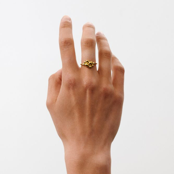 Pernille Corydon Pebble Ring in verguld zilver weergegeven op een hand tegen een witte achtergrond. Model R-460-GP-001.