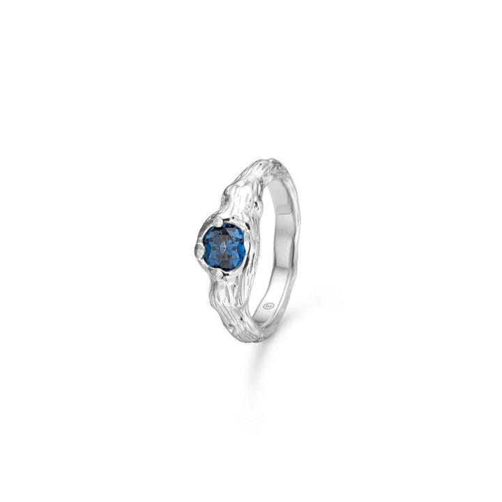 Studio Z Misty Forest Ring Zilver met blauwe stenen, toont organische structuur en elegant design. Model 7147821-001-1