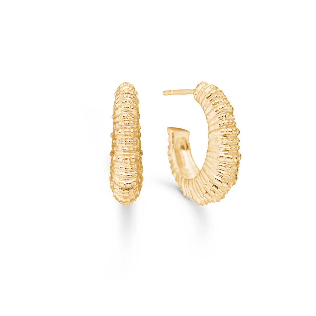 Studio Z Seashell Secrets vergulde oorbellen in een groot, rond model met een golvend oppervlak. Modelnummer 7210908