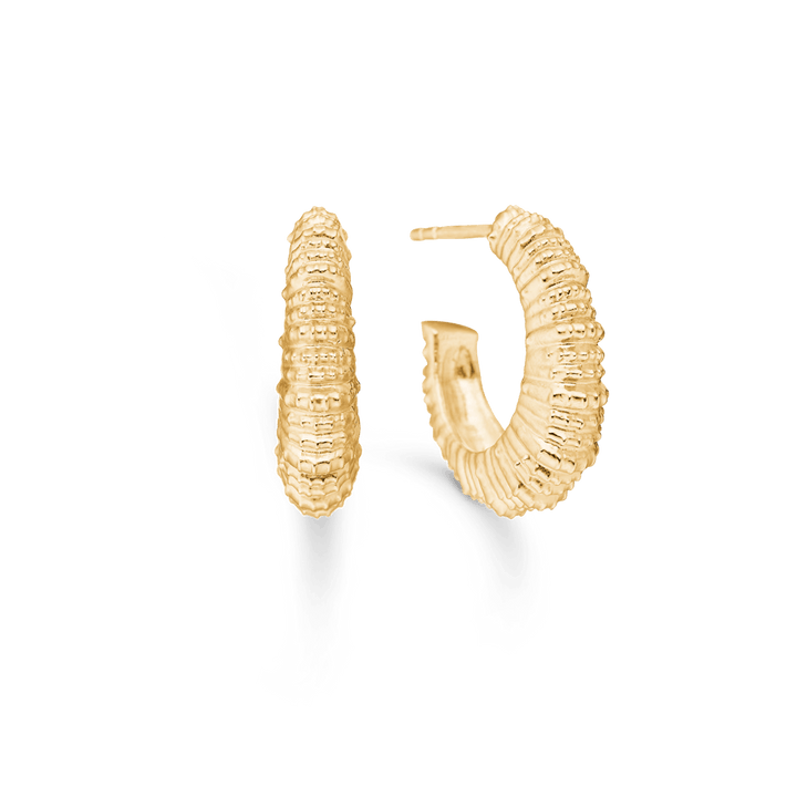 Studio Z Seashell Secrets vergulde oorbellen in een groot, rond model met een golvend oppervlak. Modelnummer 7210908