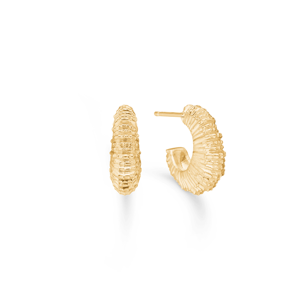 Studio Z Seashell Secrets vergulde oorbellen in golvend schelpontwerp, model 7210907-1.