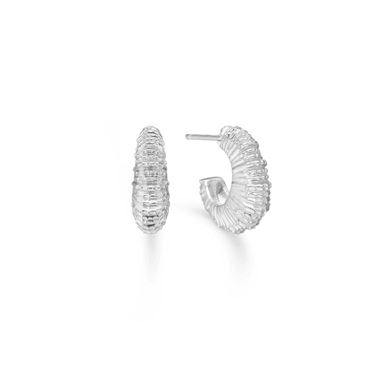 Studio Z Seashell Secrets zilveren oorbellen medium met elegante geribbelde schelpstructuur, model 7110907-1.