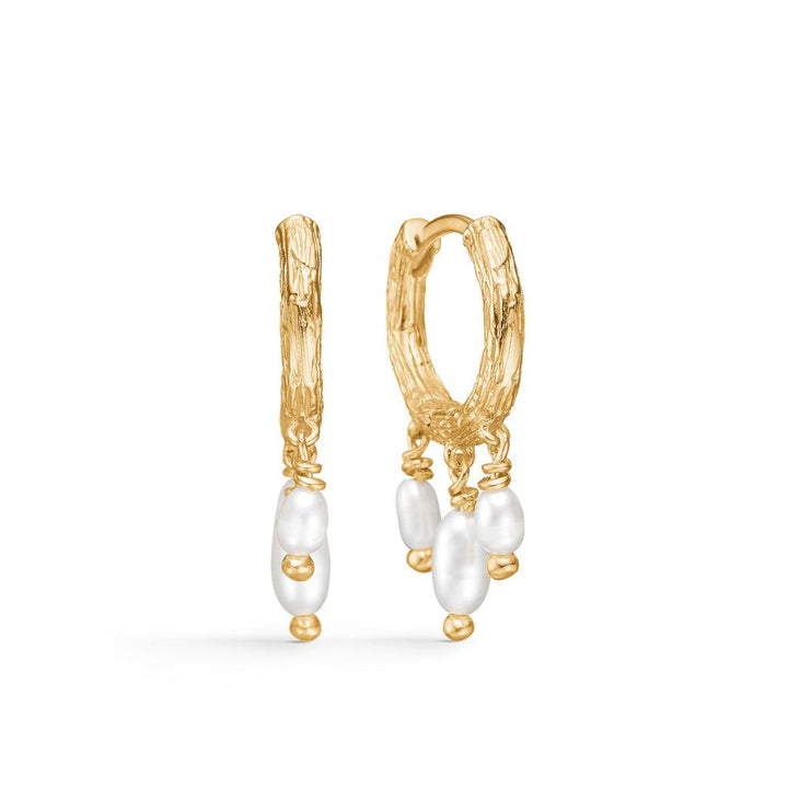 studio-z-twine-creool-met-parels, gouden creolen met elegante witte zoetwaterparels, Model 7213854-1