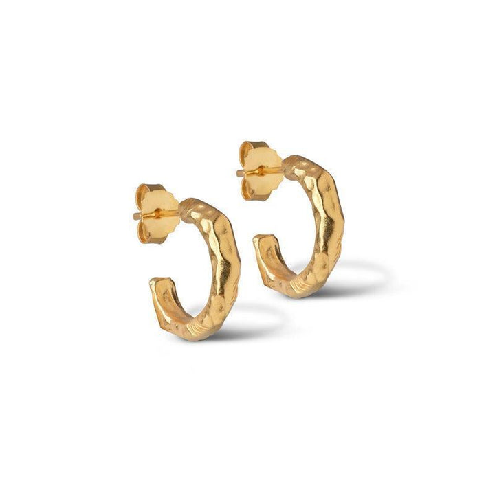 enamel-hali-vergulde hoepels, gehamerde ronde oorbellen, glanzende gouden kleurstijl, model E221GM-E221GM-1