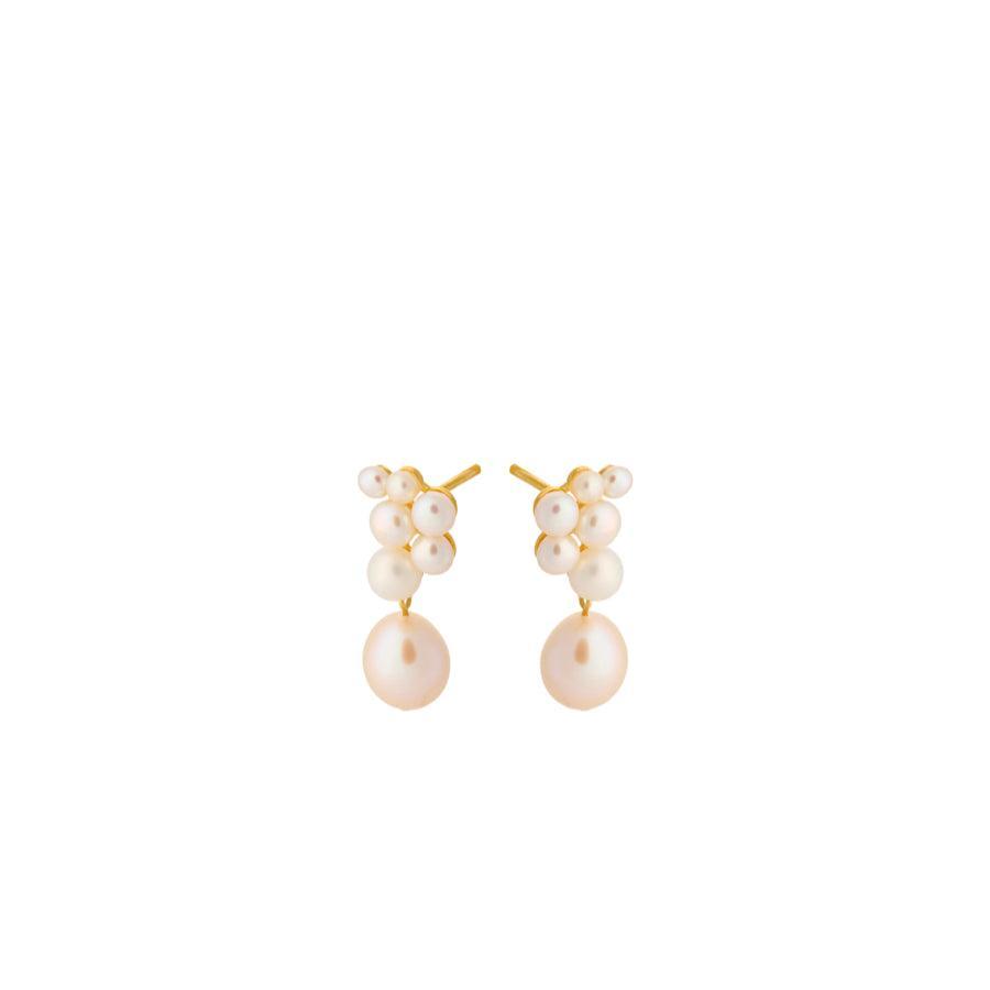 Pernille Corydon Ocean Treasure Earstick - E-445-GP - Øreringe - E-445-GP